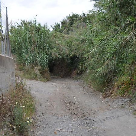 Casa Rural En Almayate Bajo Ngoại thất bức ảnh