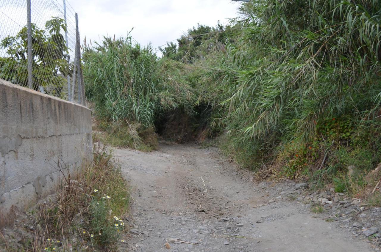 Casa Rural En Almayate Bajo Ngoại thất bức ảnh