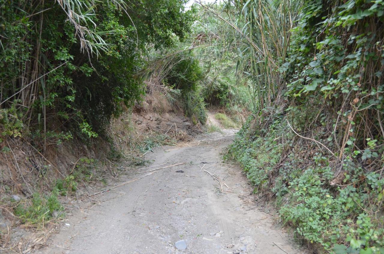Casa Rural En Almayate Bajo Ngoại thất bức ảnh